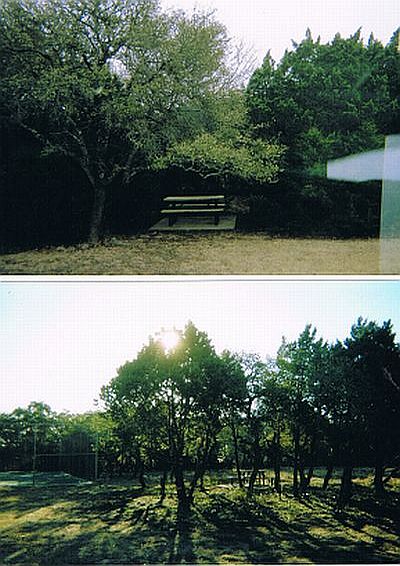 LC-1
